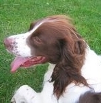 click for a larger view